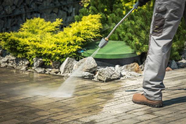 Best Factory Floor Cleaning  in Agua Dulce, TX