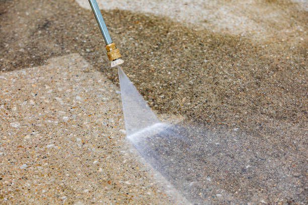 Best Warehouse Cleaning  in Agua Dulce, TX